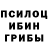 Каннабис гибрид HodoVka