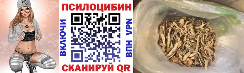Галлюциногенные грибы ЛСД OMG как войти Щигры где купить наркотик